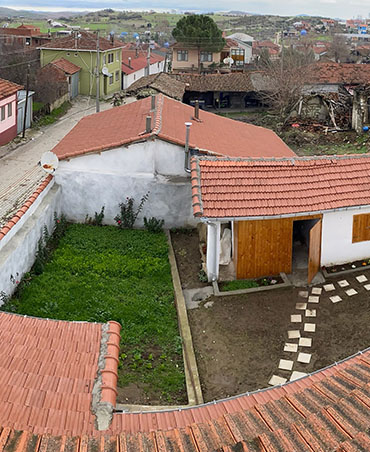 Tarla Kuşu