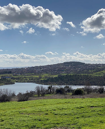 Tarla Kuşu