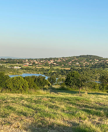Tarla Kuşu