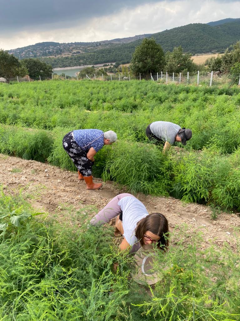 Sosyal Sorumluluk Projemiz “KÖYDEN GELDİM”